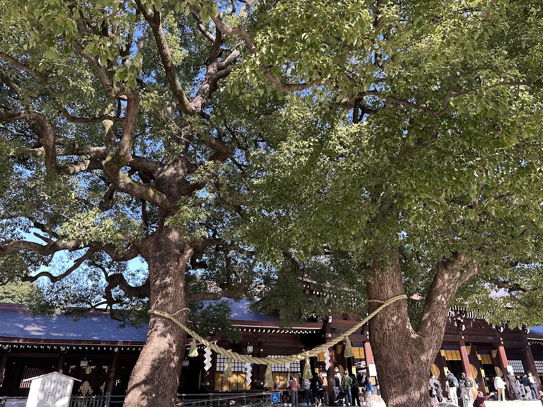 meiji_shrine_love_tree