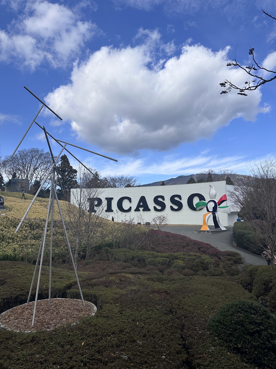 picasso